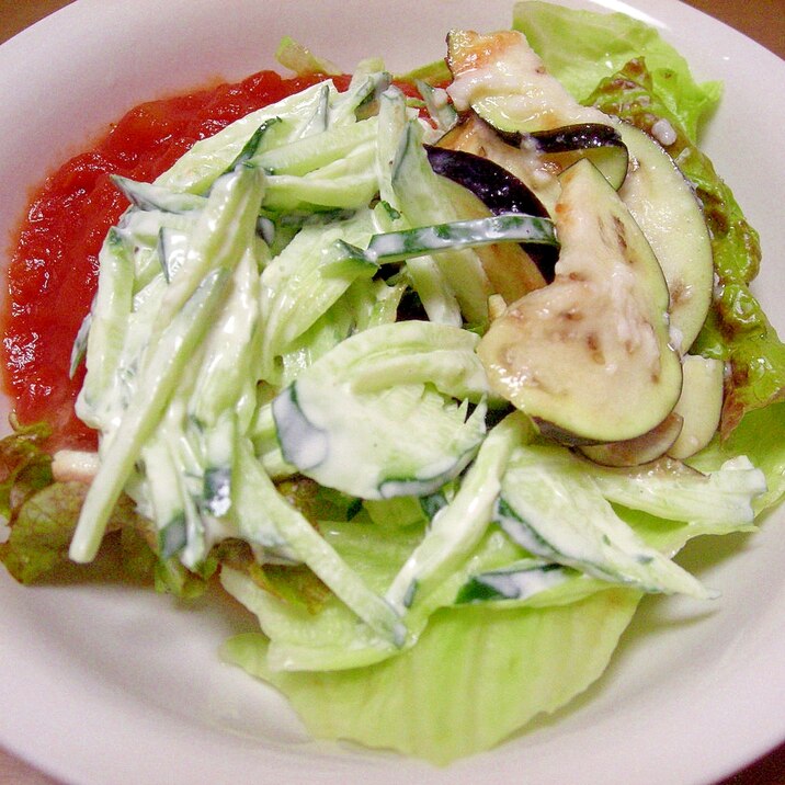 夏野菜（きゅうり・トマト・ナス）のサラダ